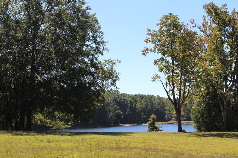 Lake Edwin Johnson