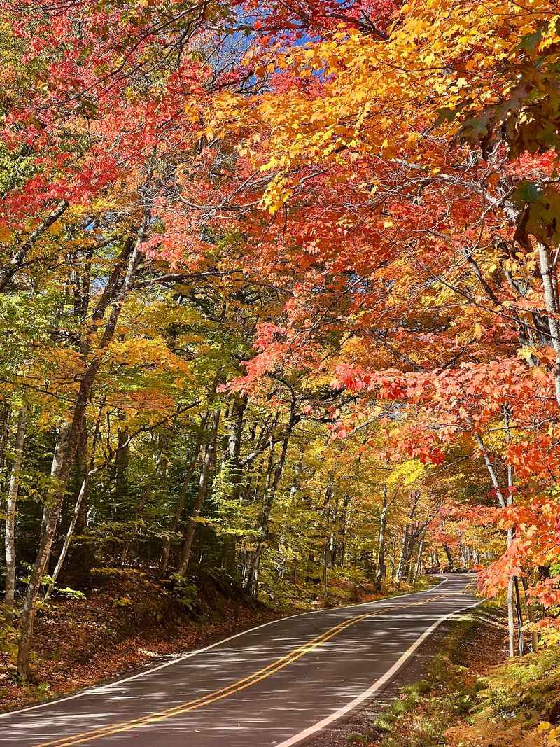 Autumn Transforms the Landscape Into Fire