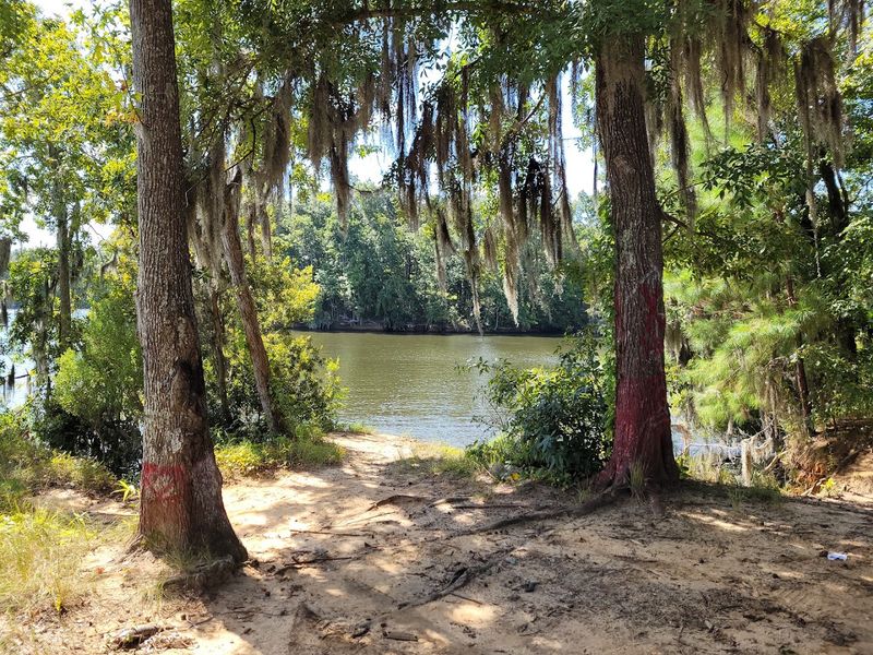 Lake Marion