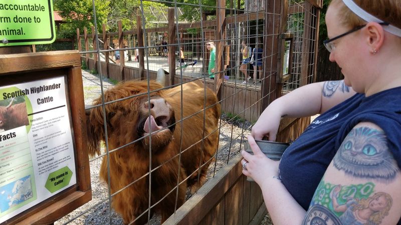 Living Treasures Wild Animal Park