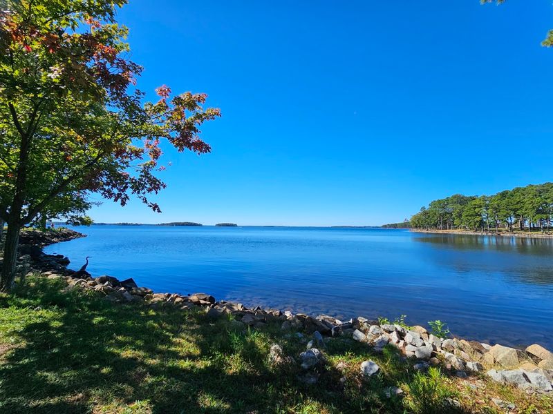 Pine Island on Lake Murray - Lexington County