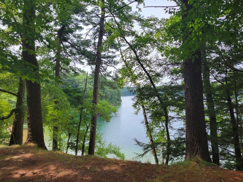 Walden Pond