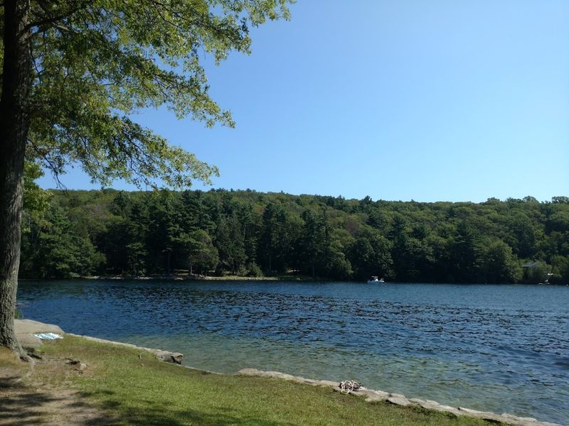Wallum Lake Beach (Douglas State Forest) - Douglas