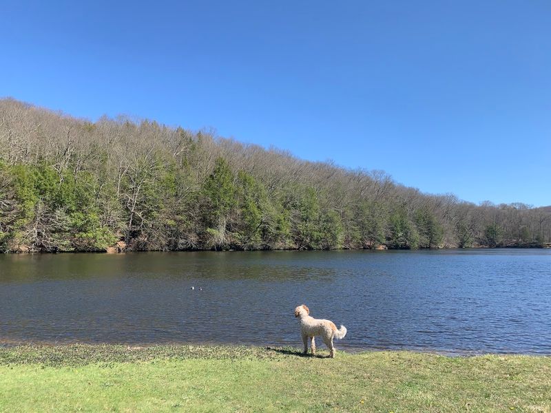 Fishing Gives The Park Another Reason To Visit