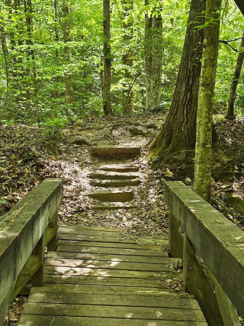 A Paradise for Trail Variety