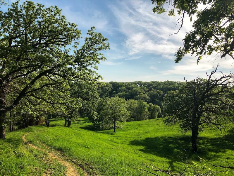 Honey Creek