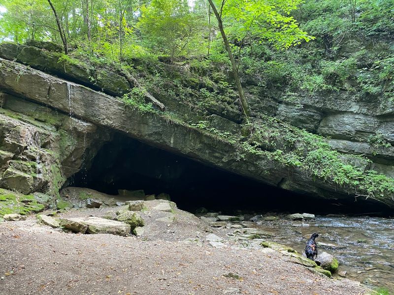 Tytoona Cave Nature Preserve Area, Blair County