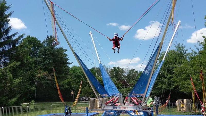 Treehouse World Adventure Park