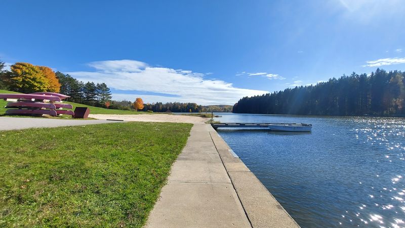 Hills Creek State Park Beach - Wellsboro