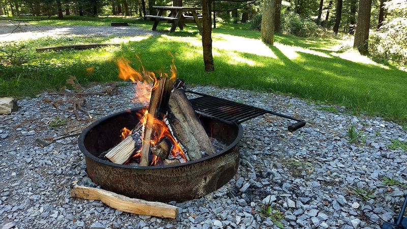 Black Moshannon State Park Campground