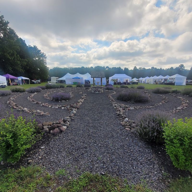 Lockwood Lavender Farm
