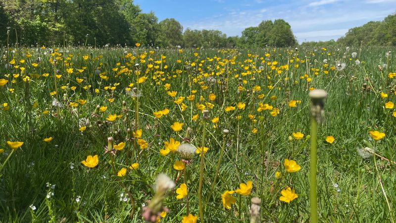 Why This Is One of Ohio's Most Unique Short Hikes