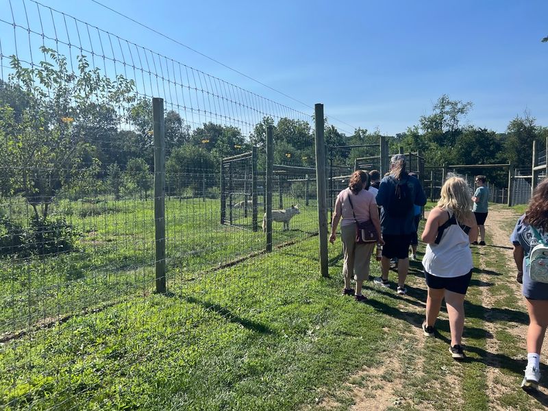 Walk Through an 80-Acre Woodland Habitat