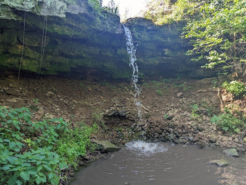 Woodman Hollow State Preserve Trail (Near Otho)