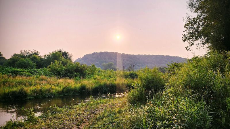 Yellow River State Forest - Harpers Ferry, Allamakee County