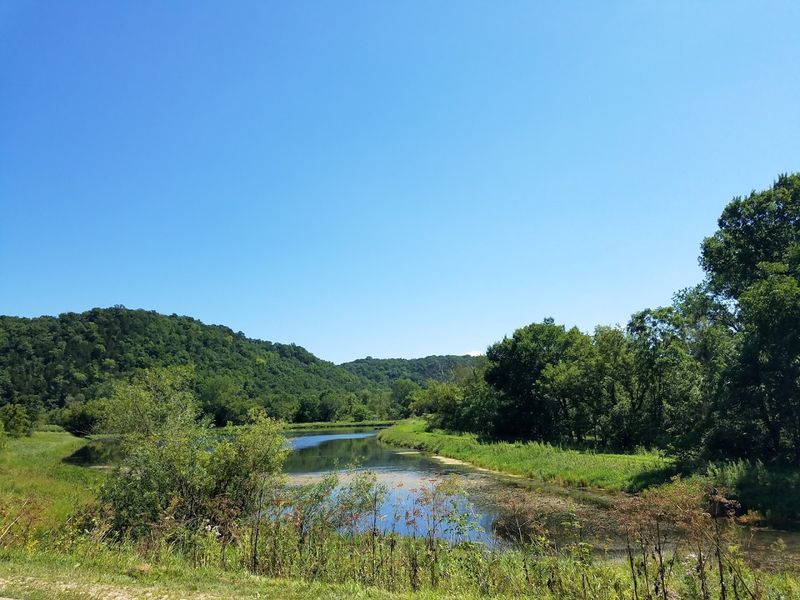 Yellow River State Forest - Harpers Ferry, Allamakee County