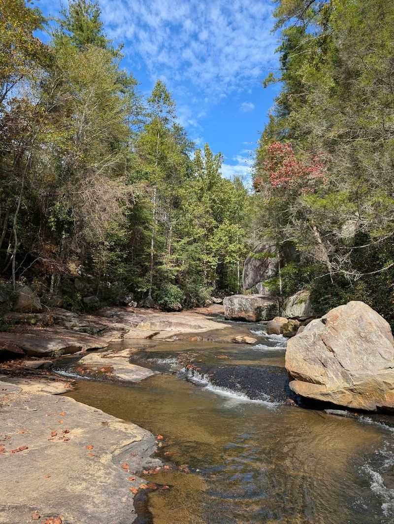 Long Shoals Wayside Park — Near Pickens