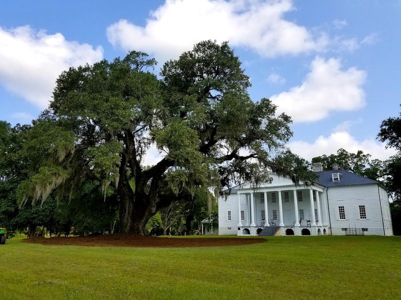 Hampton Plantation State Park