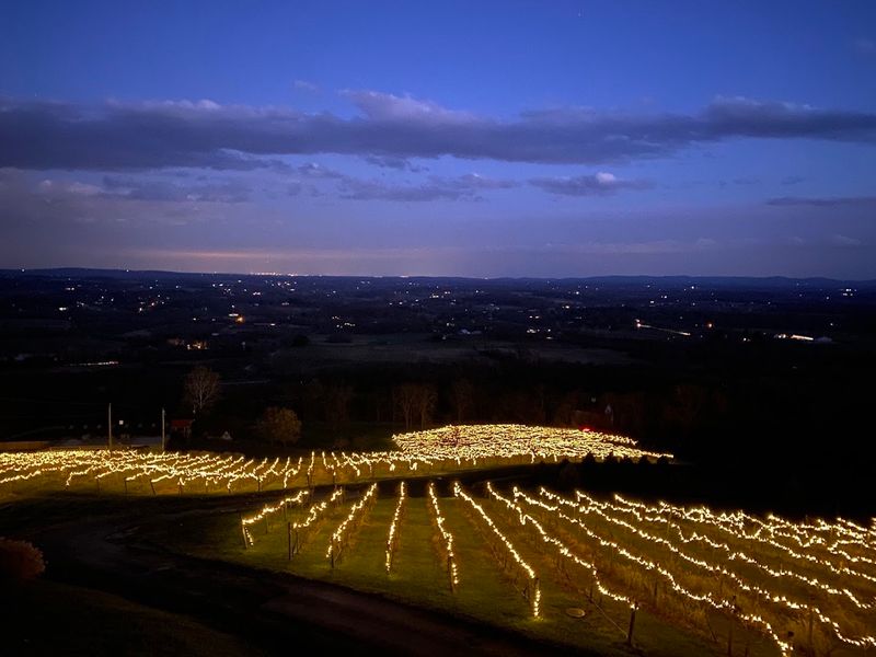 Bluemont Vineyard Fireworks