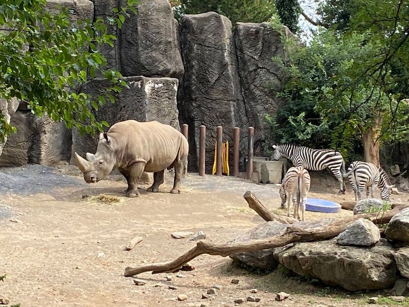 Philadelphia Zoo