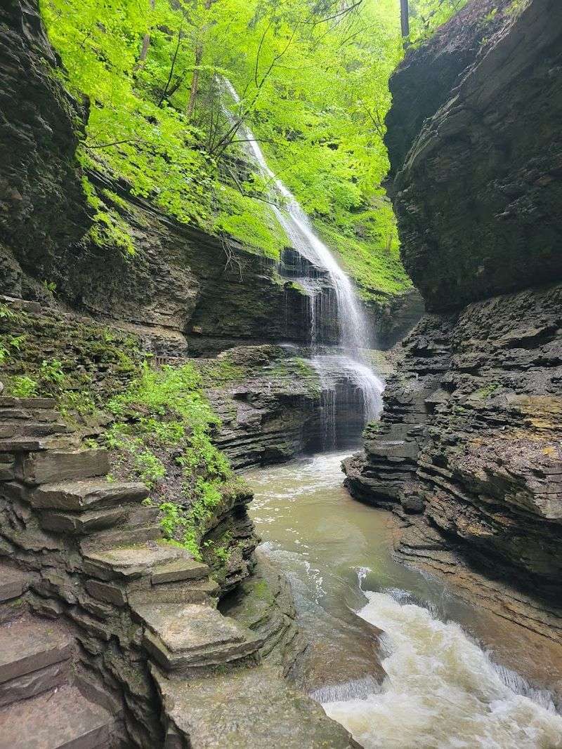 Watkins Glen State Park (Watkins Glen)