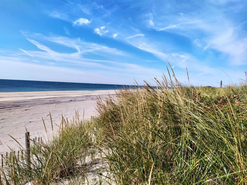 Robert Moses State Park, Babylon, Suffolk County
