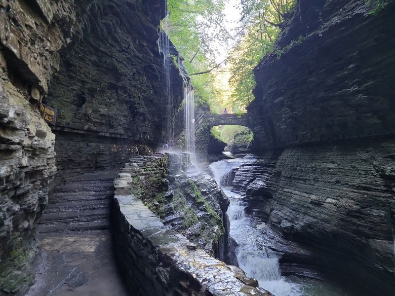 Watkins Glen State Park - Watkins Glen