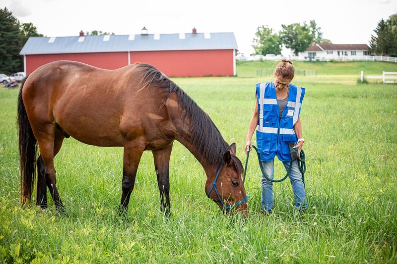 Saratoga Therapeutic Equestrian Program (STEP) &mdash; Gansevoort, New York