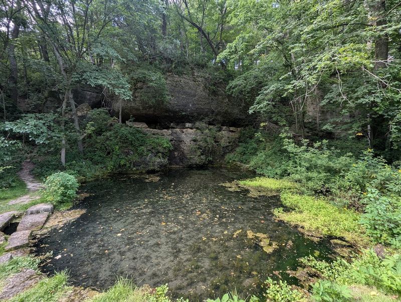 Richmond Springs and the Clear Trout Stream