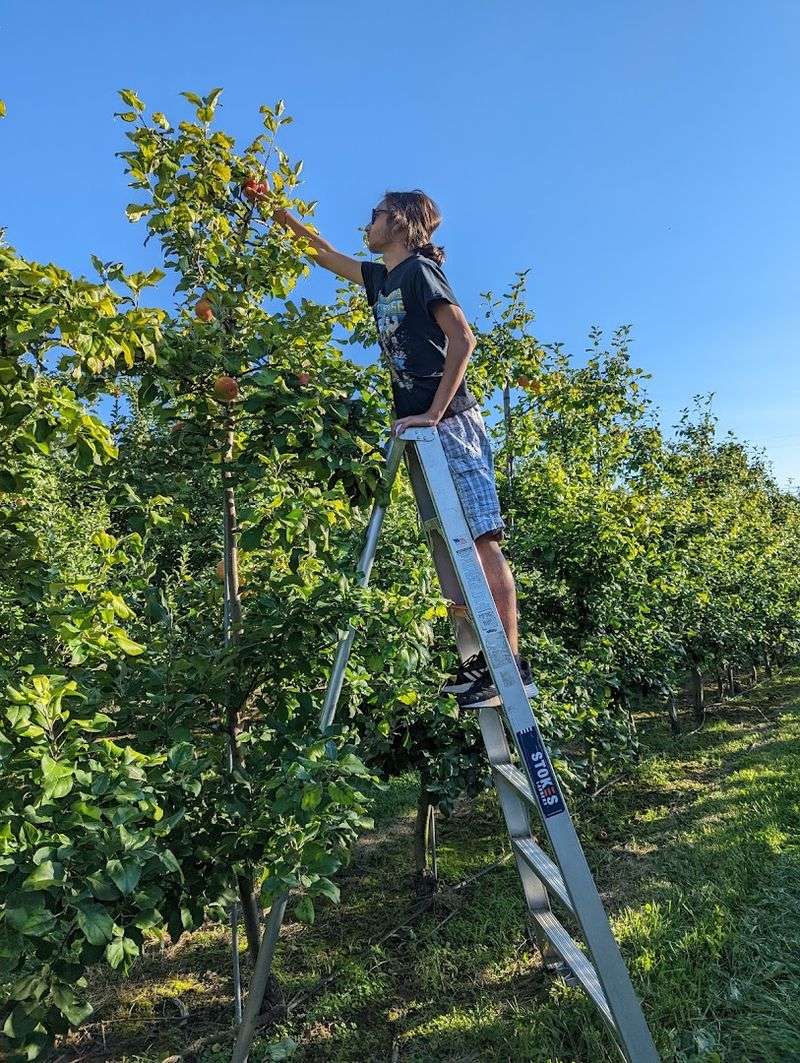 Solebury Orchards (New Hope)