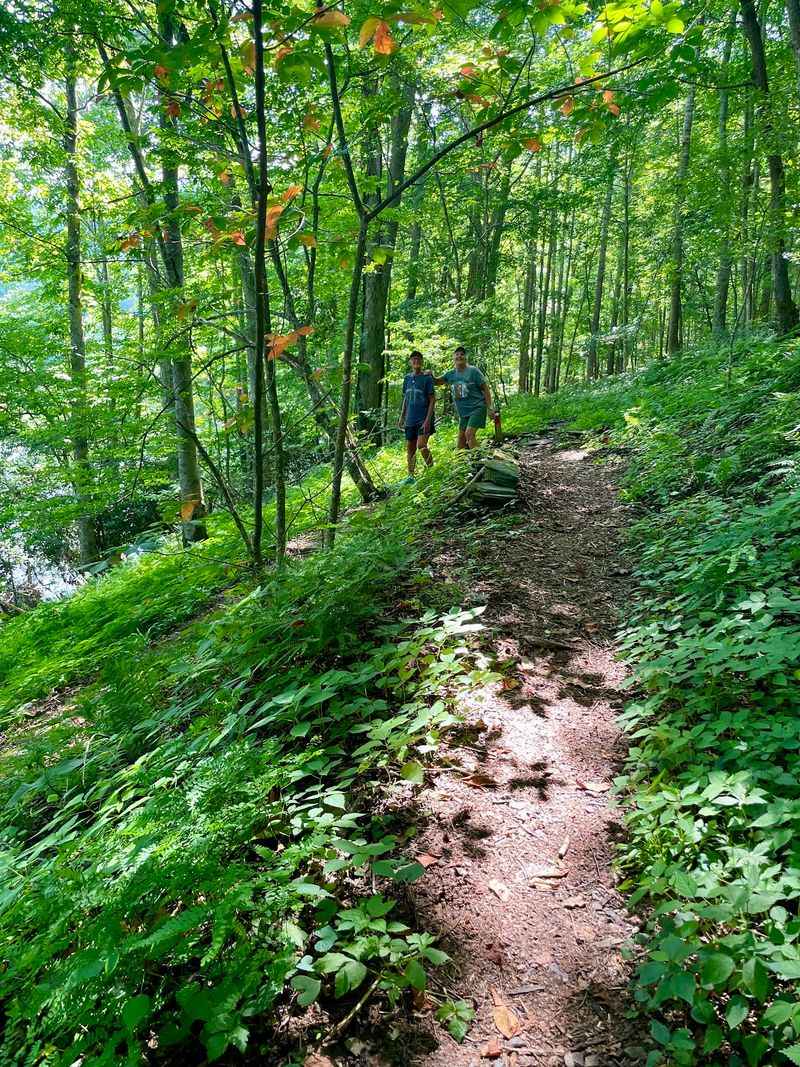 New River State Park - Laurel Springs, Alleghany County