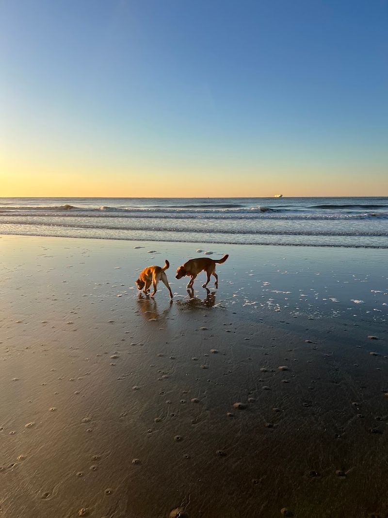 Sullivan's Island, Sullivan's Island, Charleston County