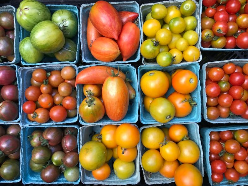 Chester Sunday Market