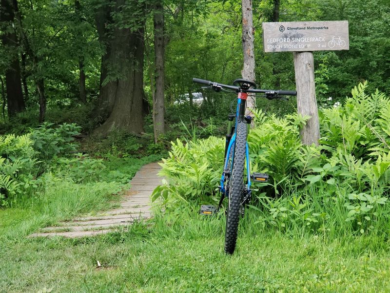 Bedford Reservation Mountain Bike Trail - Beginner Areas
