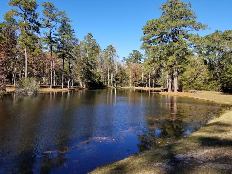 Lee State Park