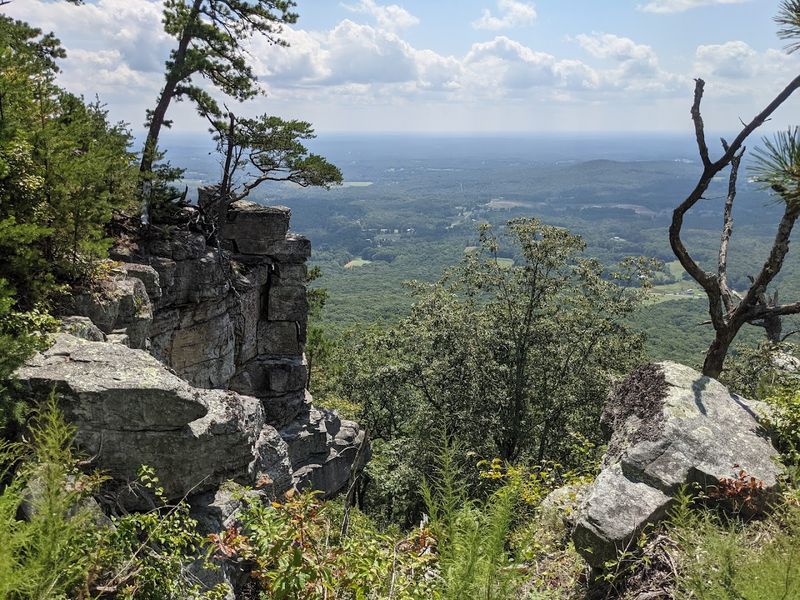 Wildlife, Cliffs, and Unique Ecosystems Along The Trails
