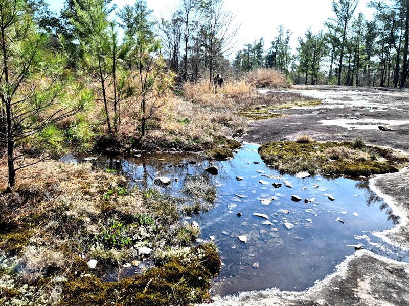 Arabia Mountain National Heritage Area 