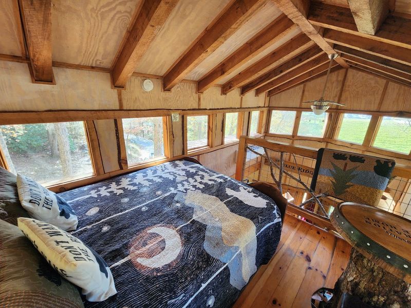 Blue Ridge TreeHouse at Bear Claw Vineyards - Blue Ridge