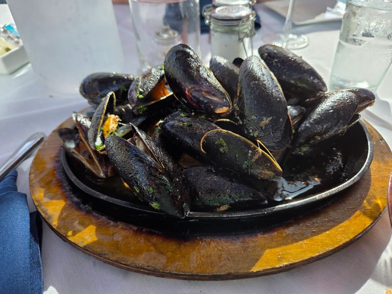 The Oar Steak & Seafood Grill (Patchogue)
