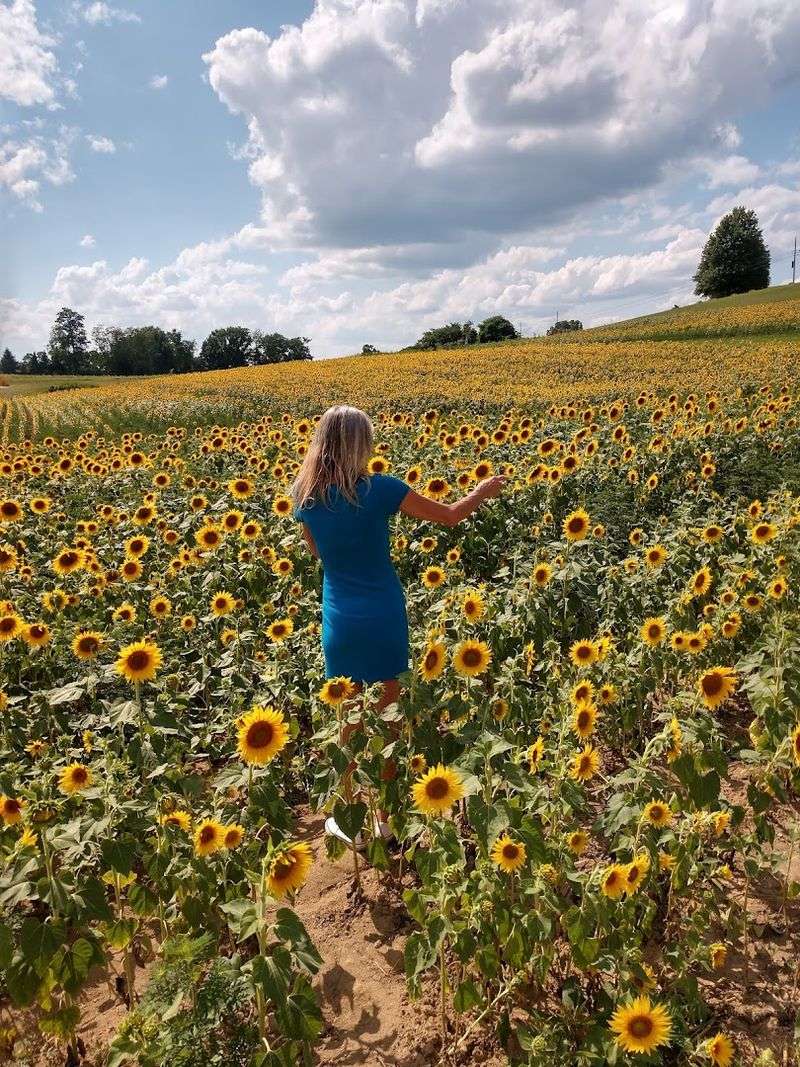 The Warmth of Family Hospitality