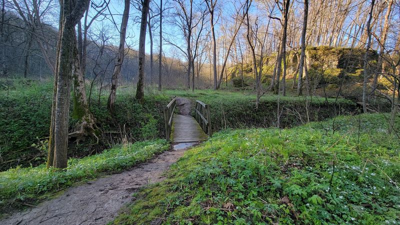 Wapsipinicon State Park, Anamosa, Jones County