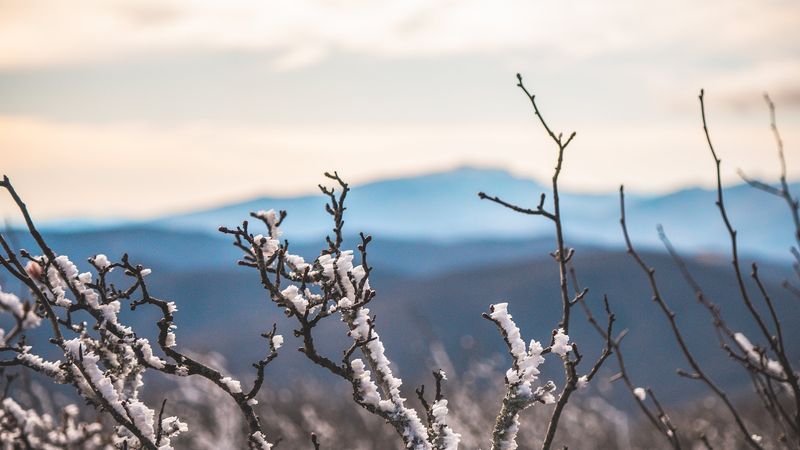 Elk Knob State Park - Todd, Watauga County, North Carolina