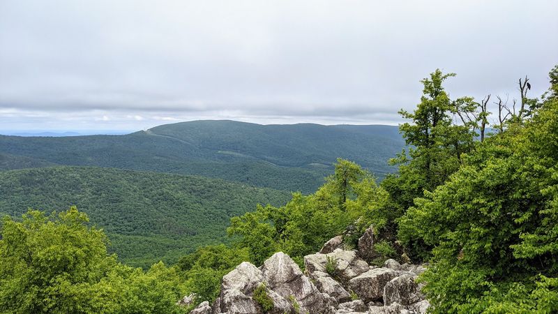 Twin Falls of Turk Mountain - Lyndhurst, Augusta County