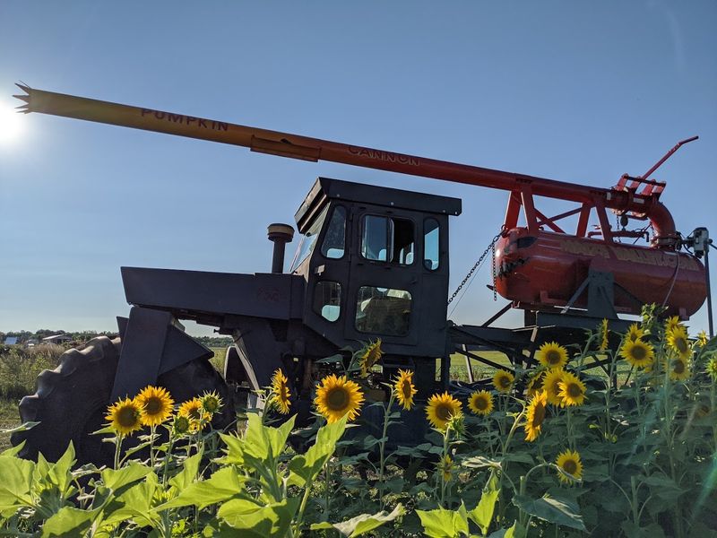 Maize Valley Winery - Hartville, Stark County