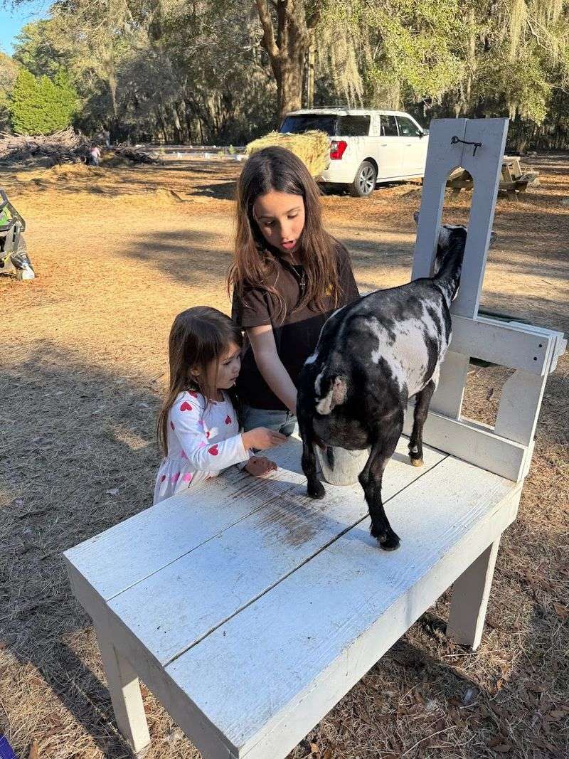 Southern Oaks Ranch and Dairy