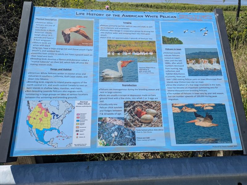 Hawkeye Wildlife Management Area