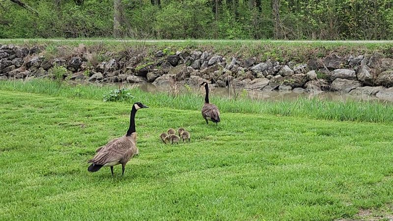 Ottawa National Wildlife Refuge - Oak Harbor, Ottawa County, Ohio