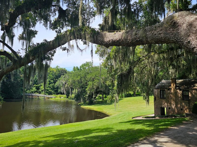 Middleton Place - Charleston, Charleston County