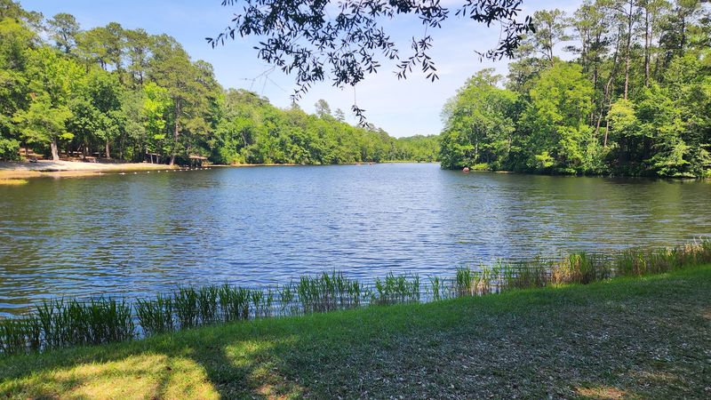 Levis Mill Lake &ndash; Poinsett State Park (Wedgefield)