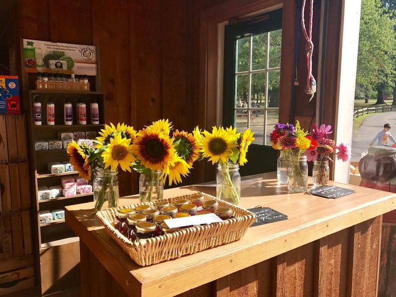 Patterson Fruit Farm - Chesterland, Geauga County